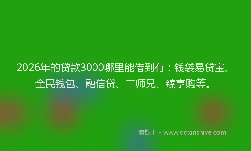 2026年的贷款3000哪里能借到有:钱袋易贷宝、全民钱包、融信贷、二师兄、臻享购等。