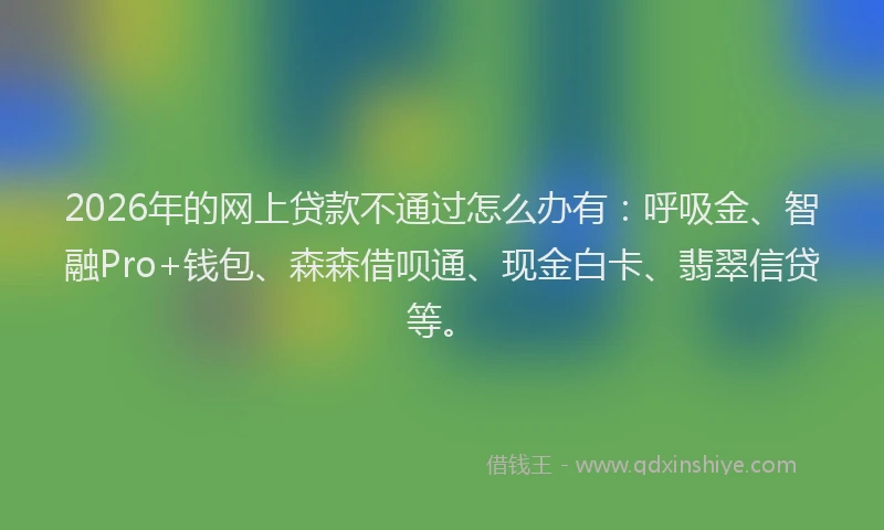 2026年的网上贷款不通过怎么办有：呼吸金、智融Pro+钱包、森森借呗通、现金白卡、翡翠信贷等。