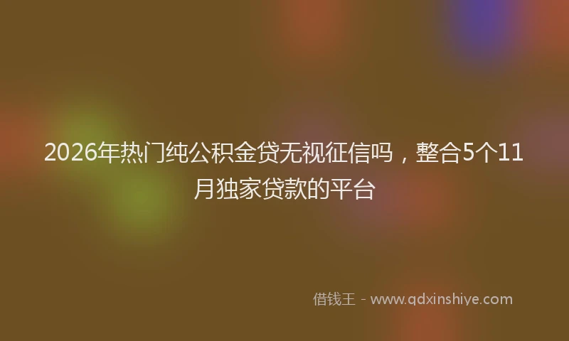 2026年热门纯公积金贷无视征信吗,整合5个11月独家贷款的平台