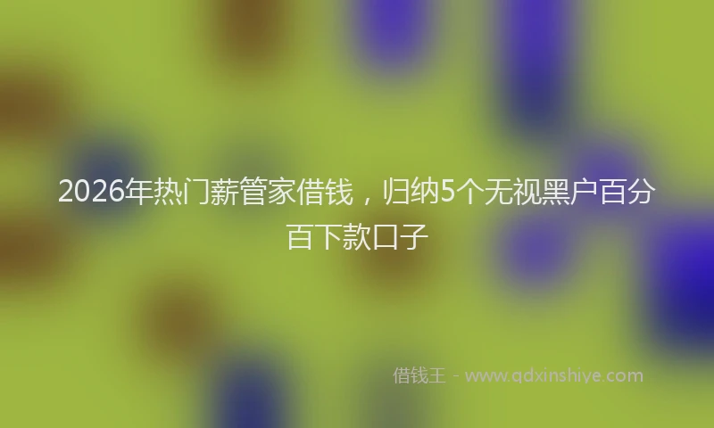 2026年热门薪管家借钱，归纳5个无视黑户百分百下款口子