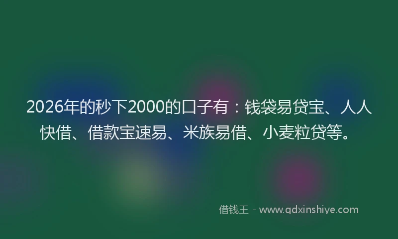 2026年的秒下2000的口子有:钱袋易贷宝、人人快借、借款宝速易、米族易借、小麦粒贷等。