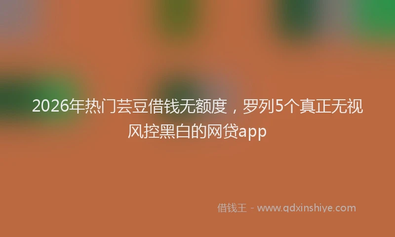 2026年热门芸豆借钱无额度，罗列5个真正无视风控黑白的网贷app
