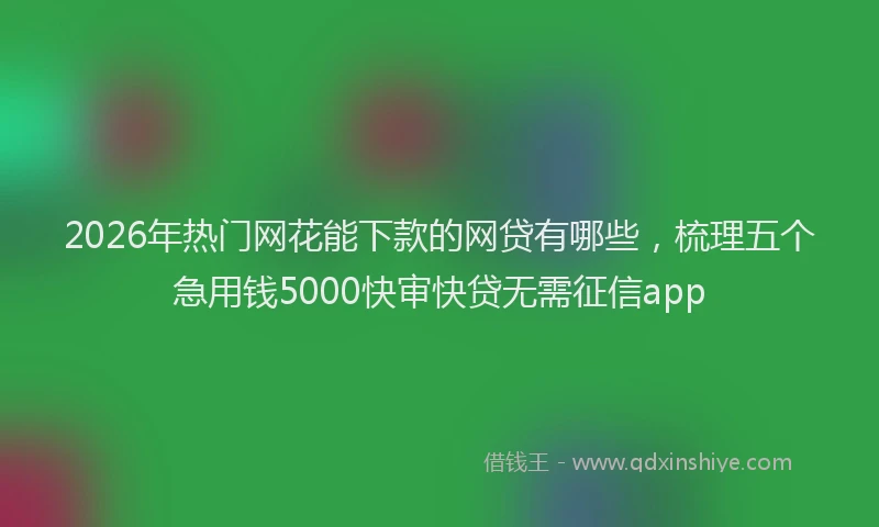 2026年热门网花能下款的网贷有哪些，梳理五个急用钱5000快审快贷无需征信app