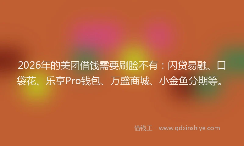 2026年的美团借钱需要刷脸不有：闪贷易融、口袋花、乐享Pro钱包、万盛商城、小金鱼分期等。