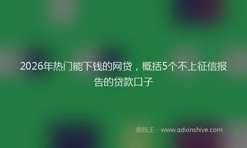 2026年热门能下钱的网贷，概括5个不上征信报告的贷款口子