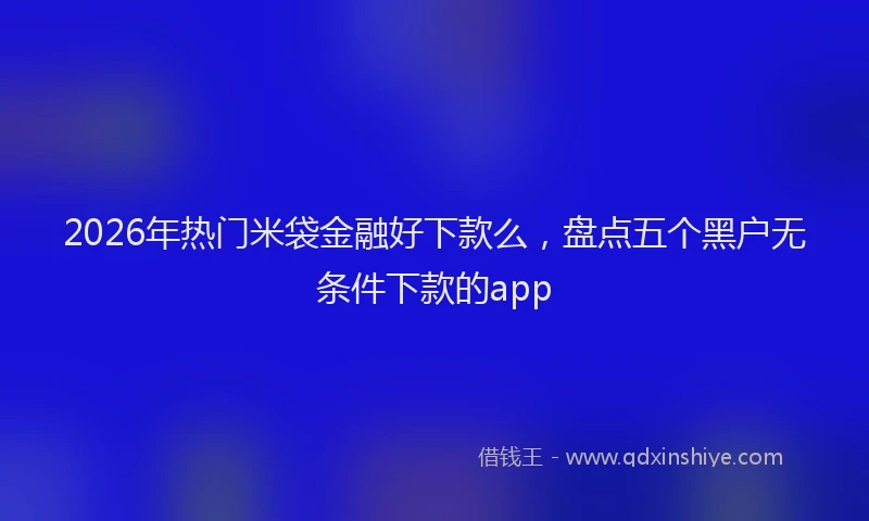 2026年热门米袋金融好下款么，盘点五个黑户无条件下款的app