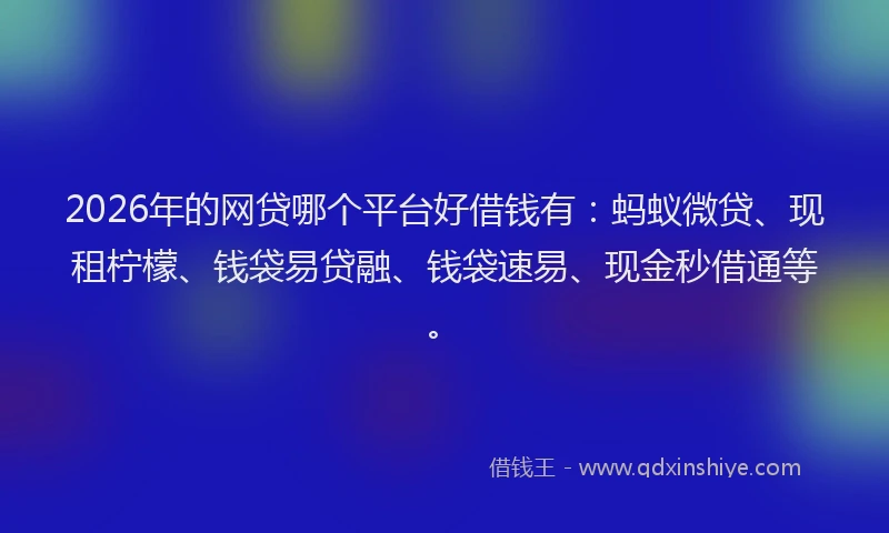 2026年的网贷哪个平台好借钱有：蚂蚁微贷、现租柠檬、钱袋易贷融、钱袋速易、现金秒借通等。