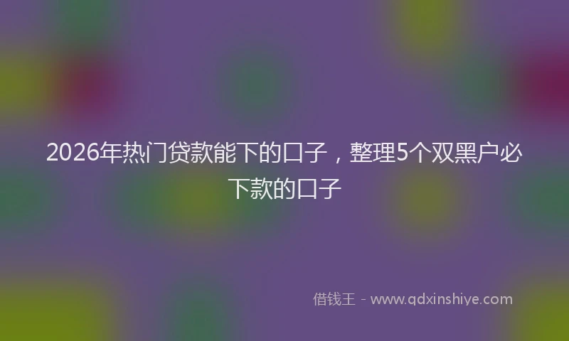2026年热门贷款能下的口子，整理5个双黑户必下款的口子