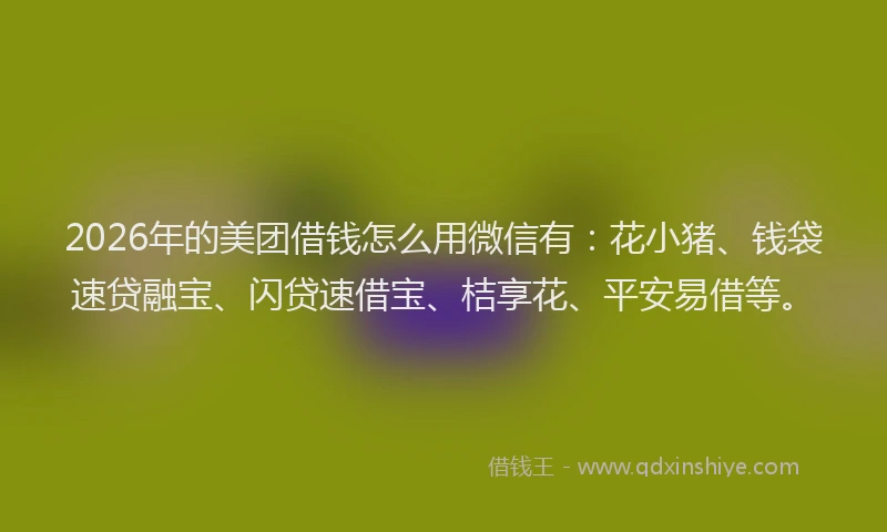 2026年的美团借钱怎么用微信有:花小猪、钱袋速贷融宝、闪贷速借宝、桔享花、平安易借等。