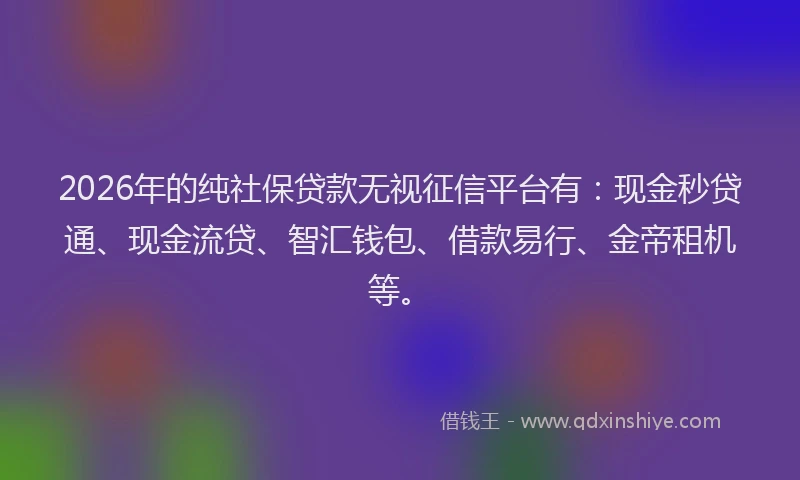2026年的纯社保贷款无视征信平台有：现金秒贷通、现金流贷、智汇钱包、借款易行、金帝租机等。