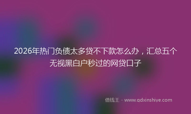 2026年热门负债太多贷不下款怎么办，汇总五个无视黑白户秒过的网贷口子