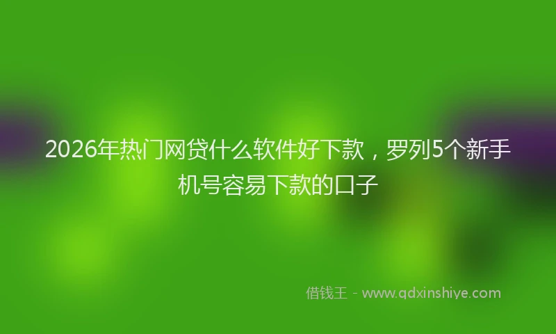2026年热门网贷什么软件好下款，罗列5个新手机号容易下款的口子