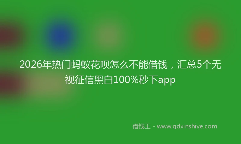 2026年热门蚂蚁花呗怎么不能借钱，汇总5个无视征信黑白100%秒下app