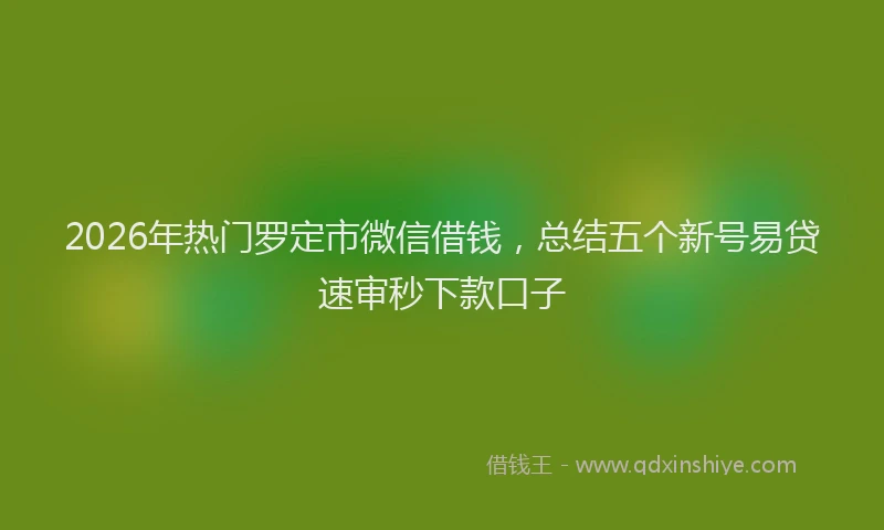 2026年热门罗定市微信借钱，总结五个新号易贷速审秒下款口子