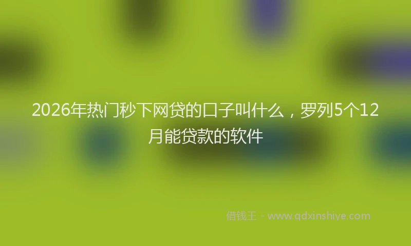2026年热门秒下网贷的口子叫什么，罗列5个12月能贷款的软件