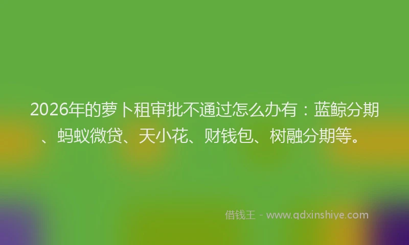 2026年的萝卜租审批不通过怎么办有：蓝鲸分期、蚂蚁微贷、天小花、财钱包、树融分期等。