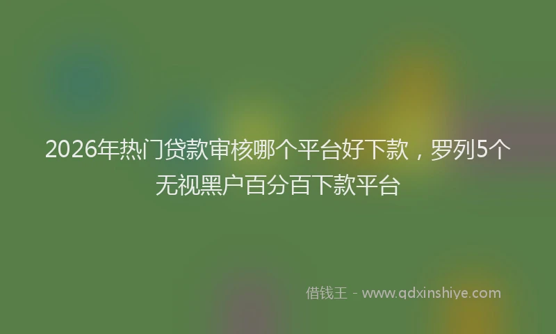 2026年热门贷款审核哪个平台好下款，罗列5个无视黑户百分百下款平台