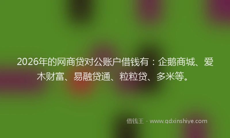 2026年的网商贷对公账户借钱有：企鹅商城、爱木财富、易融贷通、粒粒贷、多米等。