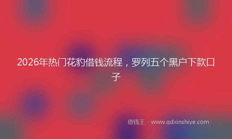 2026年热门花豹借钱流程，罗列五个黑户下款口子