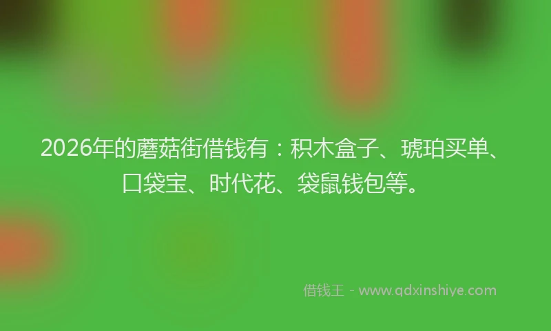 2026年的蘑菇街借钱有：积木盒子、琥珀买单、口袋宝、时代花、袋鼠钱包等。