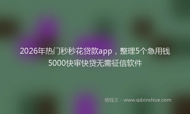 2026年热门秒秒花贷款app，整理5个急用钱5000快审快贷无需征信软件