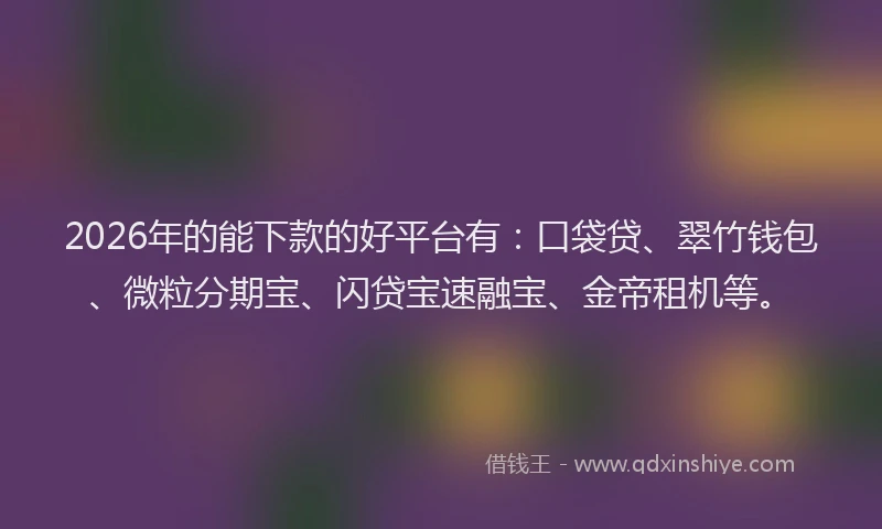 2026年的能下款的好平台有：口袋贷、翠竹钱包、微粒分期宝、闪贷宝速融宝、金帝租机等。
