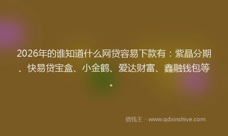 2026年的谁知道什么网贷容易下款有:紫晶分期、快易贷宝盒、小金鹤、爱达财富、鑫融钱包等。