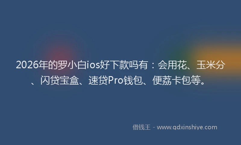 2026年的罗小白ios好下款吗有：会用花、玉米分、闪贷宝盒、速贷Pro钱包、便荔卡包等。
