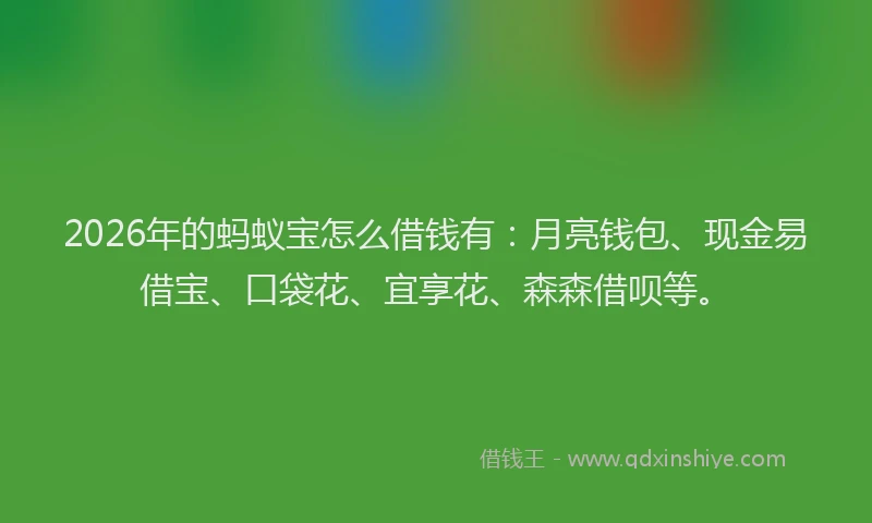 2026年的蚂蚁宝怎么借钱有：月亮钱包、现金易借宝、口袋花、宜享花、森森借呗等。