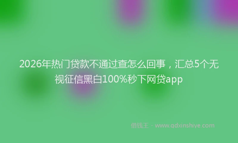2026年热门贷款不通过查怎么回事，汇总5个无视征信黑白100%秒下网贷app