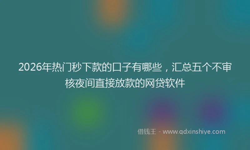 2026年热门秒下款的口子有哪些，汇总五个不审核夜间直接放款的网贷软件