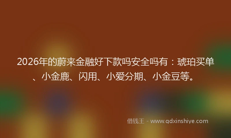 2026年的蔚来金融好下款吗安全吗有：琥珀买单、小金鹿、闪用、小爱分期、小金豆等。