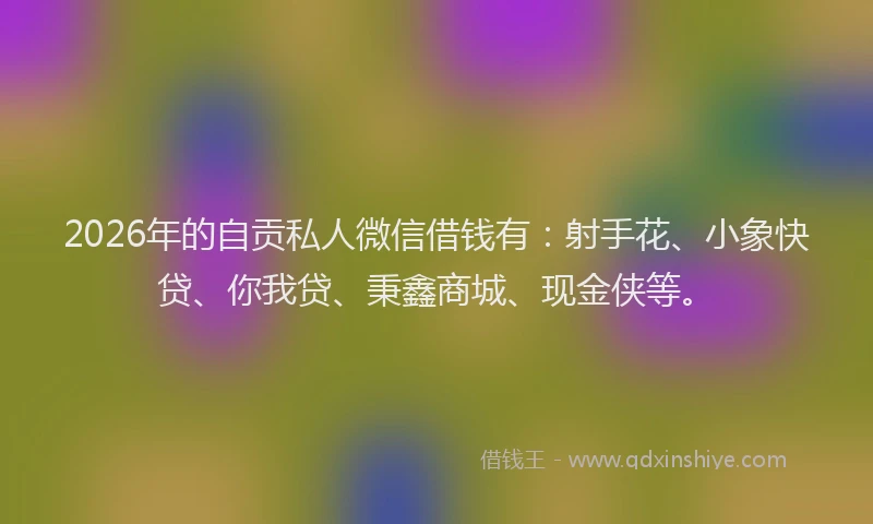2026年的自贡私人微信借钱有：射手花、小象快贷、你我贷、秉鑫商城、现金侠等。