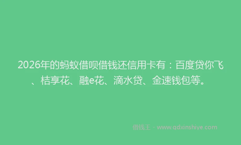 2026年的蚂蚁借呗借钱还信用卡有：百度贷你飞、桔享花、融e花、滴水贷、金速钱包等。