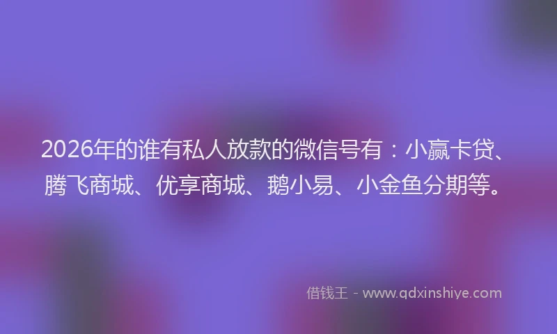 2026年的谁有私人放款的微信号有:小赢卡贷、腾飞商城、优享商城、鹅小易、小金鱼分期等。