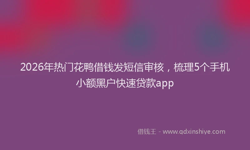 2026年热门花鸭借钱发短信审核，梳理5个手机小额黑户快速贷款app