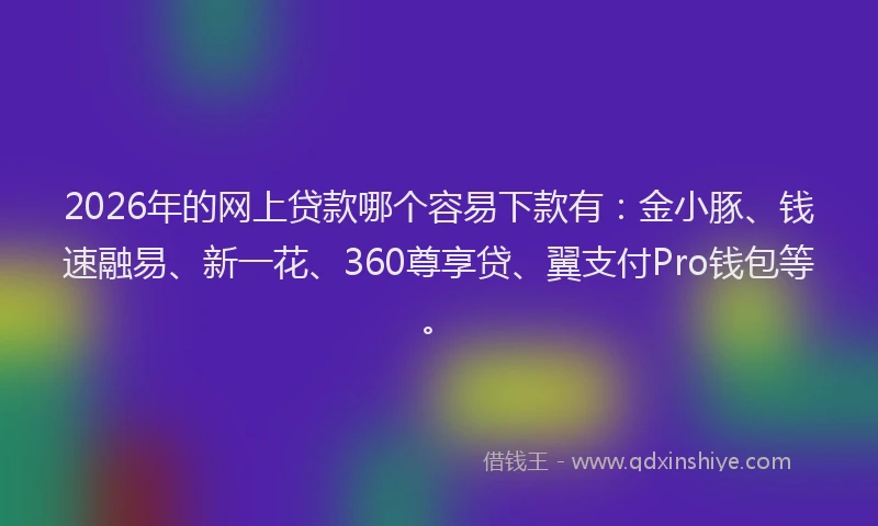 2026年的网上贷款哪个容易下款有：金小豚、钱速融易、新一花、360尊享贷、翼支付Pro钱包等。