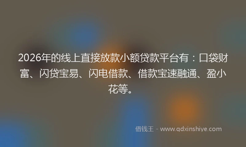 2026年的线上直接放款小额贷款平台有：口袋财富、闪贷宝易、闪电借款、借款宝速融通、盈小花等。