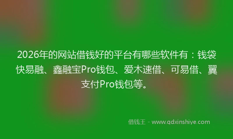 2026年的网站借钱好的平台有哪些软件有：钱袋快易融、鑫融宝Pro钱包、爱木速借、可易借、翼支付Pro钱包等。