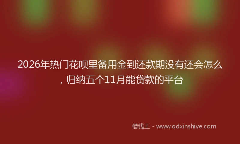 2026年热门花呗里备用金到还款期没有还会怎么，归纳五个11月能贷款的平台