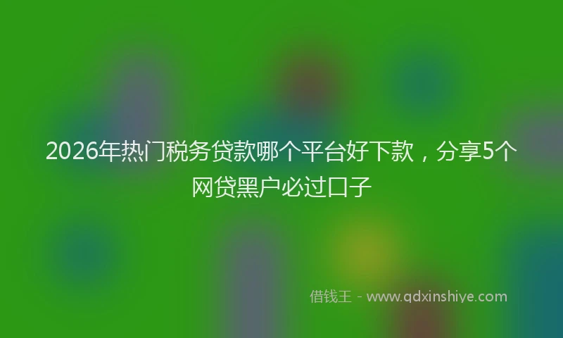 2026年热门税务贷款哪个平台好下款，分享5个网贷黑户必过口子