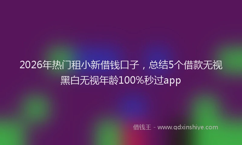 2026年热门租小新借钱口子，总结5个借款无视黑白无视年龄100%秒过app