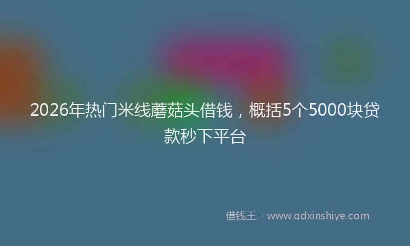 2026年热门米线蘑菇头借钱，概括5个5000块贷款秒下平台