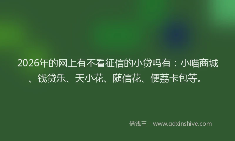 2026年的网上有不看征信的小贷吗有：小喵商城、钱贷乐、天小花、随信花、便荔卡包等。