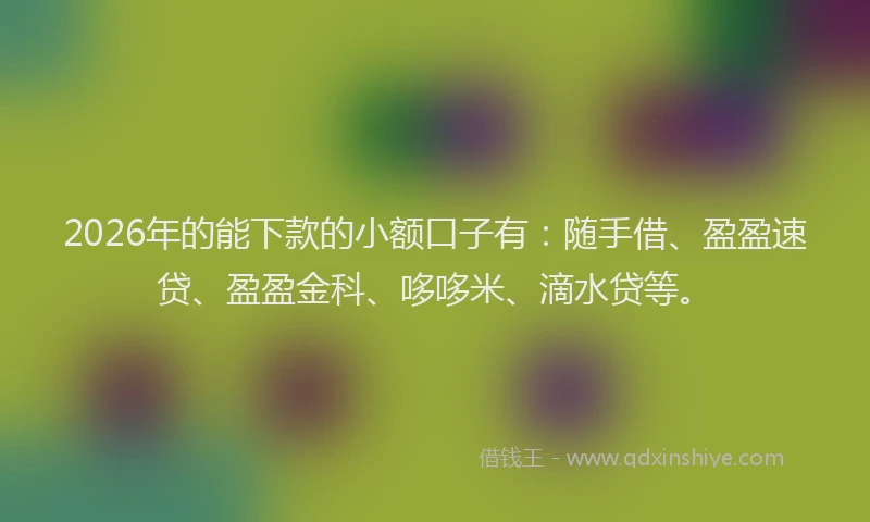 2026年的能下款的小额口子有：随手借、盈盈速贷、盈盈金科、哆哆米、滴水贷等。