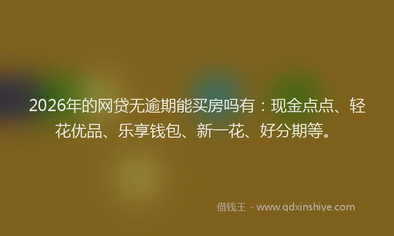 2026年的网贷无逾期能买房吗有：现金点点、轻花优品、乐享钱包、新一花、好分期等。