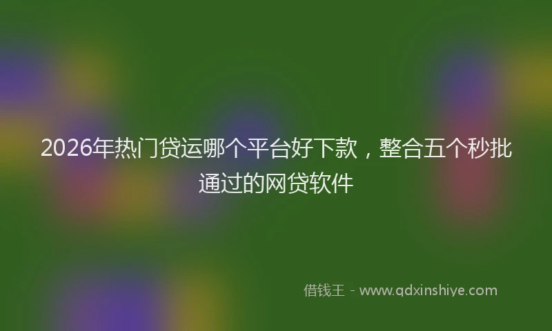 2026年热门贷运哪个平台好下款,整合五个秒批通过的网贷软件