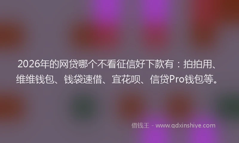 2026年的网贷哪个不看征信好下款有：拍拍用、维维钱包、钱袋速借、宜花呗、信贷Pro钱包等。