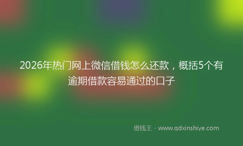 2026年热门网上微信借钱怎么还款，概括5个有逾期借款容易通过的口子