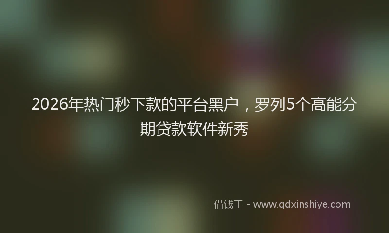 2026年热门秒下款的平台黑户，罗列5个高能分期贷款软件新秀